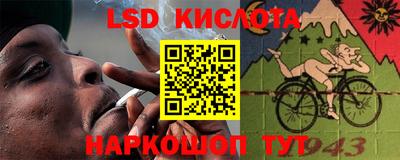 прущие грибы Краснокаменск