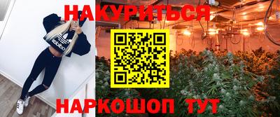 прущие грибы Краснокаменск