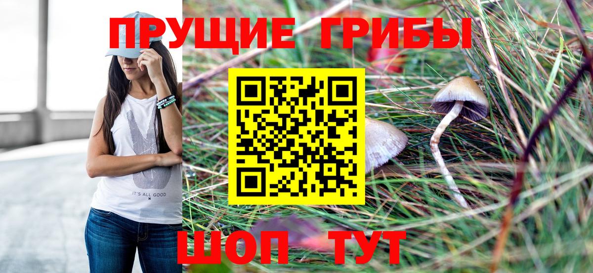 закладка  Вход с VPN  Костомукша  Галлюциногенные грибы ЛСД 